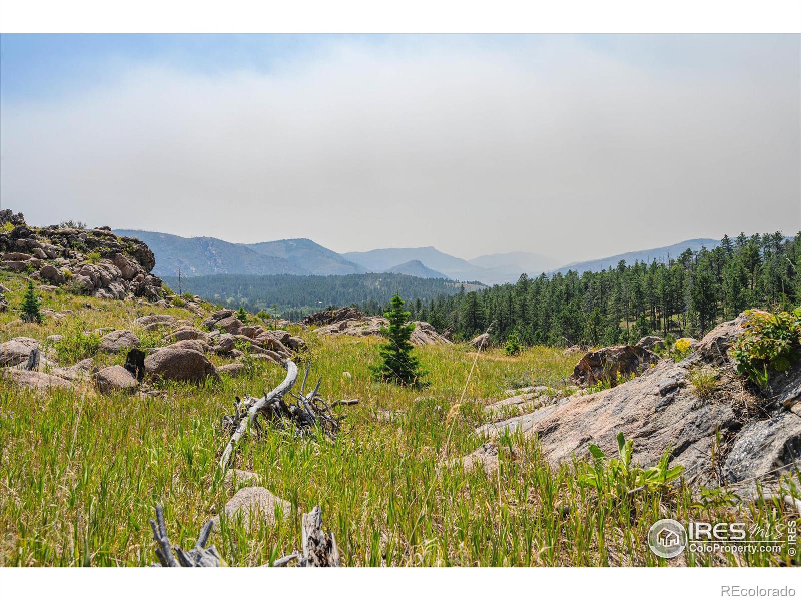 MLS Image #36 for 3805  davis ranch road,bellvue, Colorado