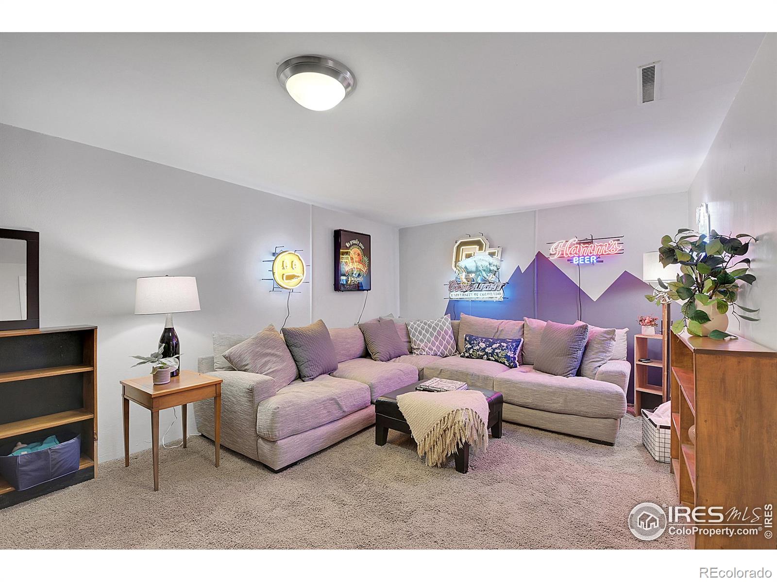 MLS Image #28 for 161  emerald street,broomfield, Colorado