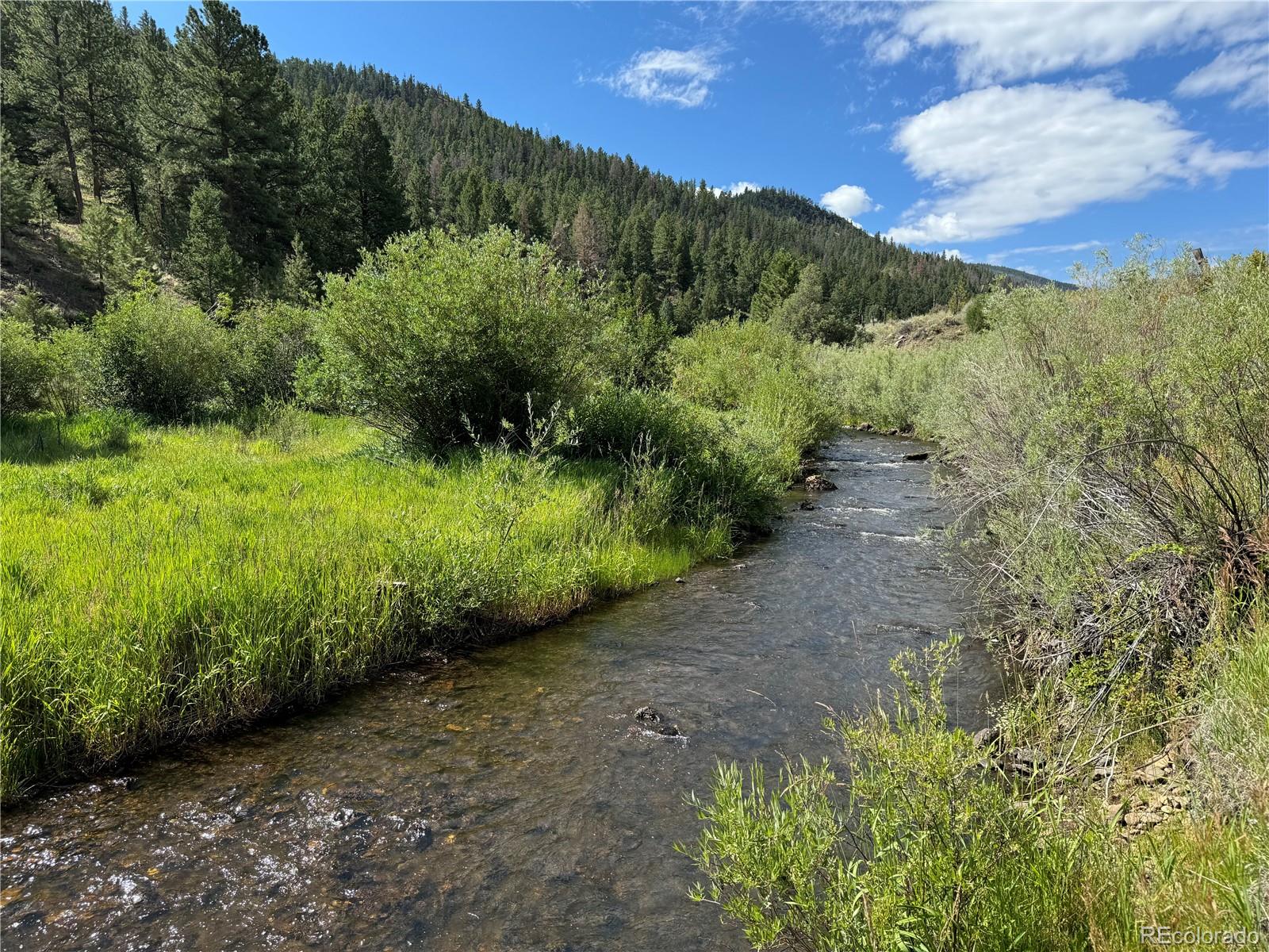 MLS Image #1 for 1001  county road 200 ,poncha springs, Colorado