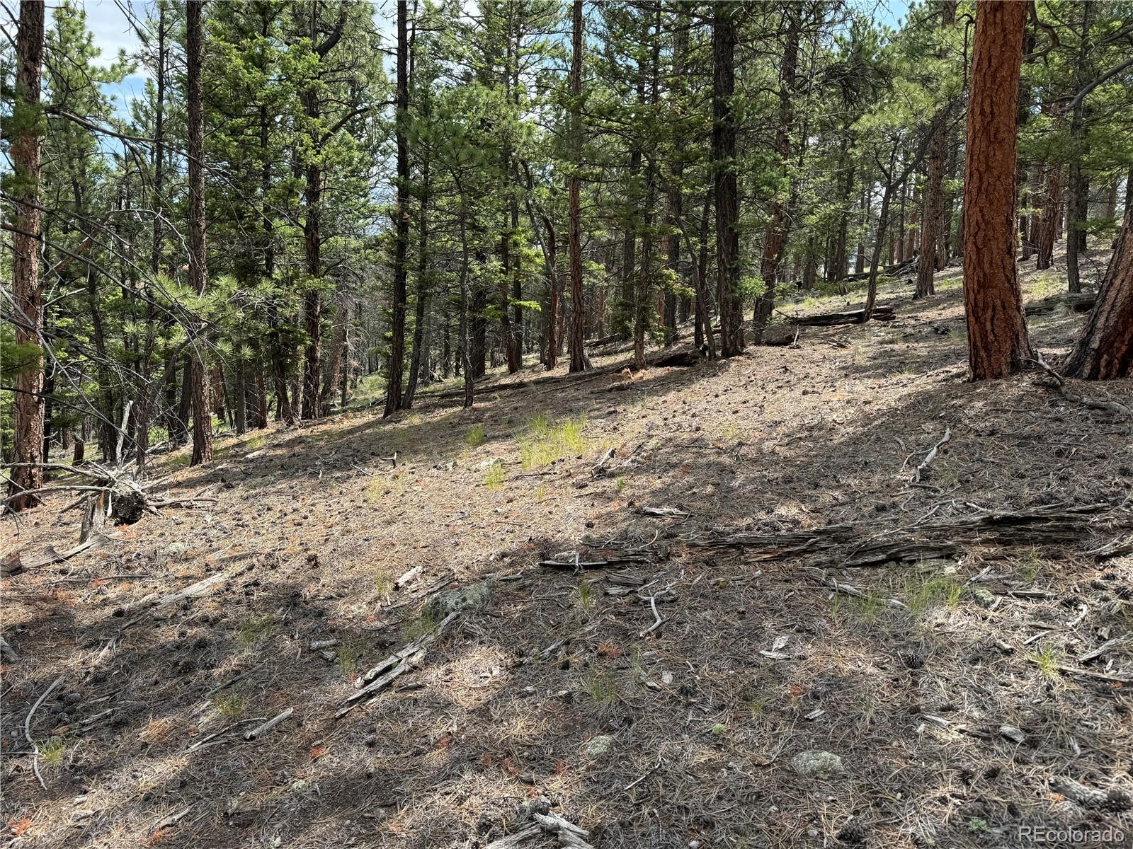 MLS Image #36 for 1001  county road 200 ,poncha springs, Colorado