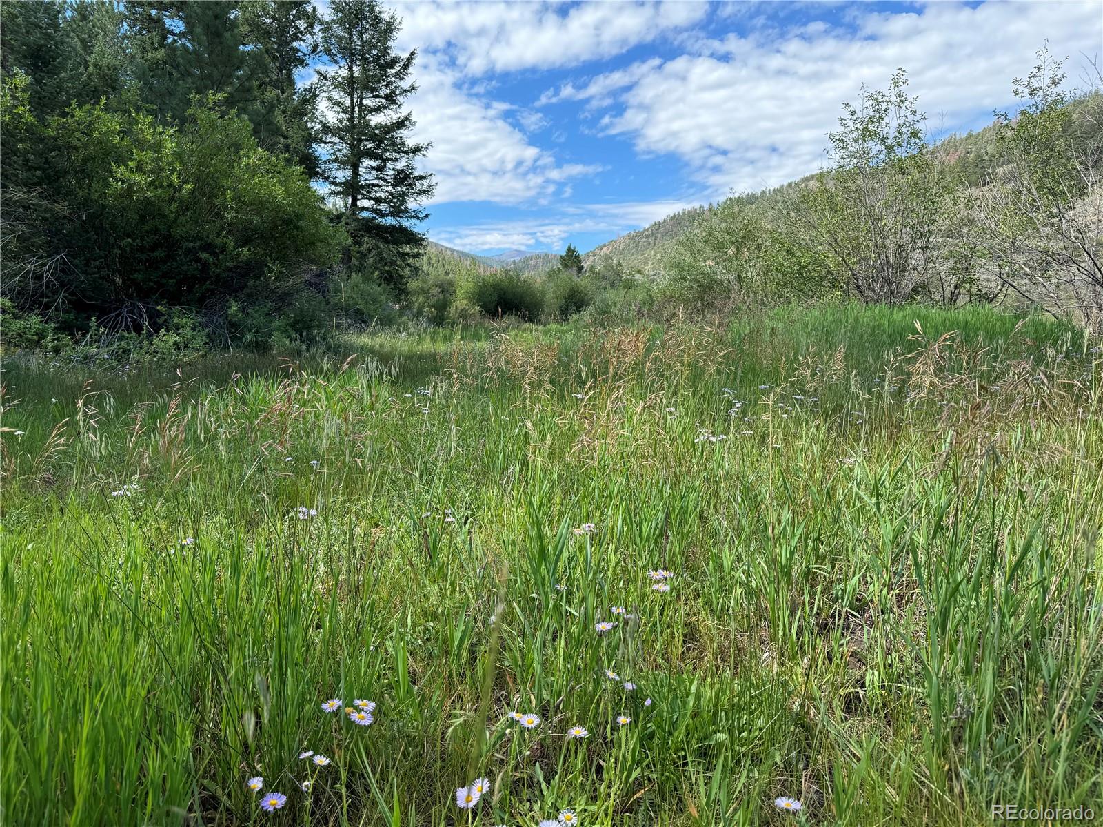 MLS Image #4 for 1001  county road 200 ,poncha springs, Colorado