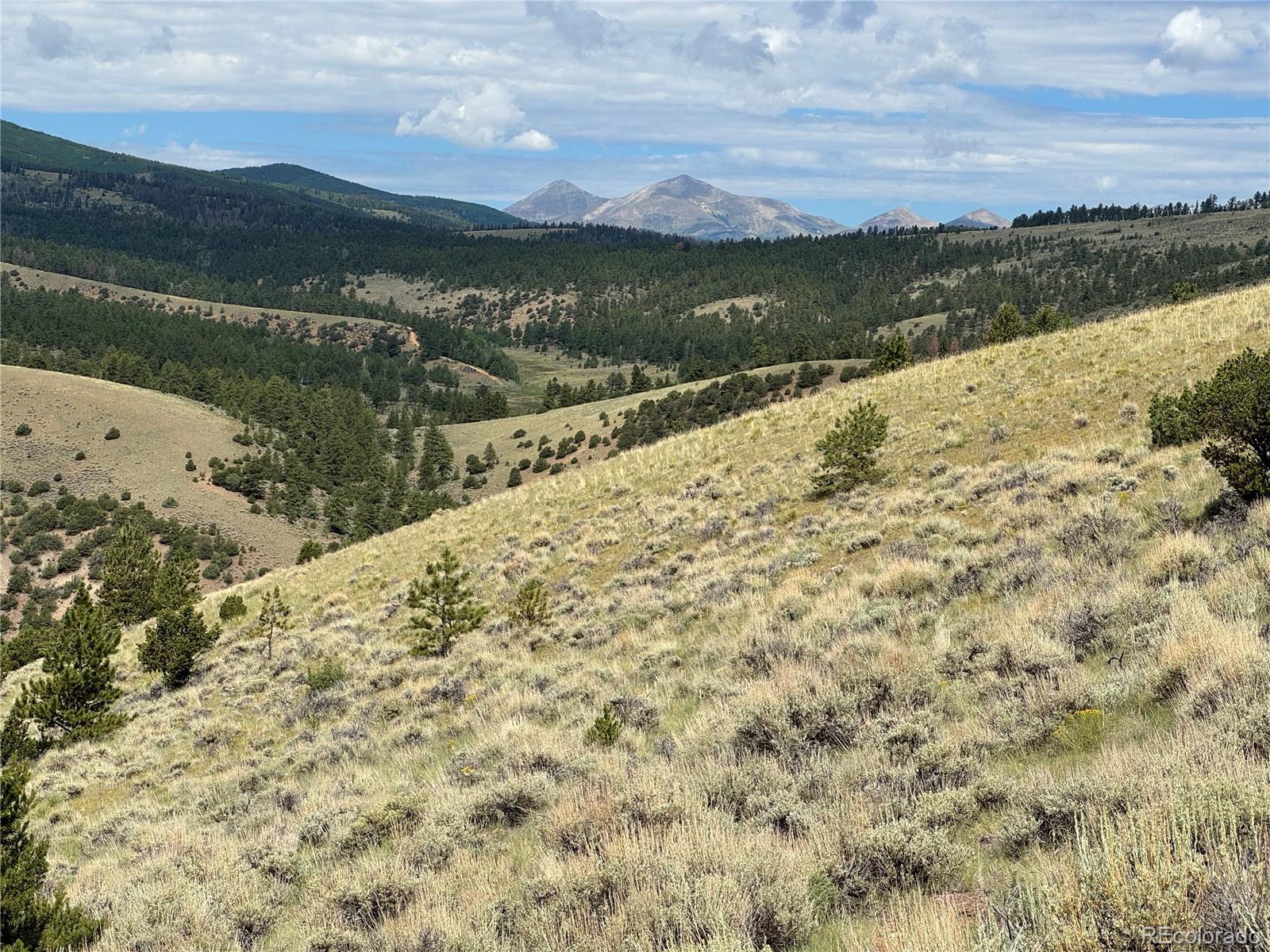 MLS Image #42 for 1001  county road 200 ,poncha springs, Colorado