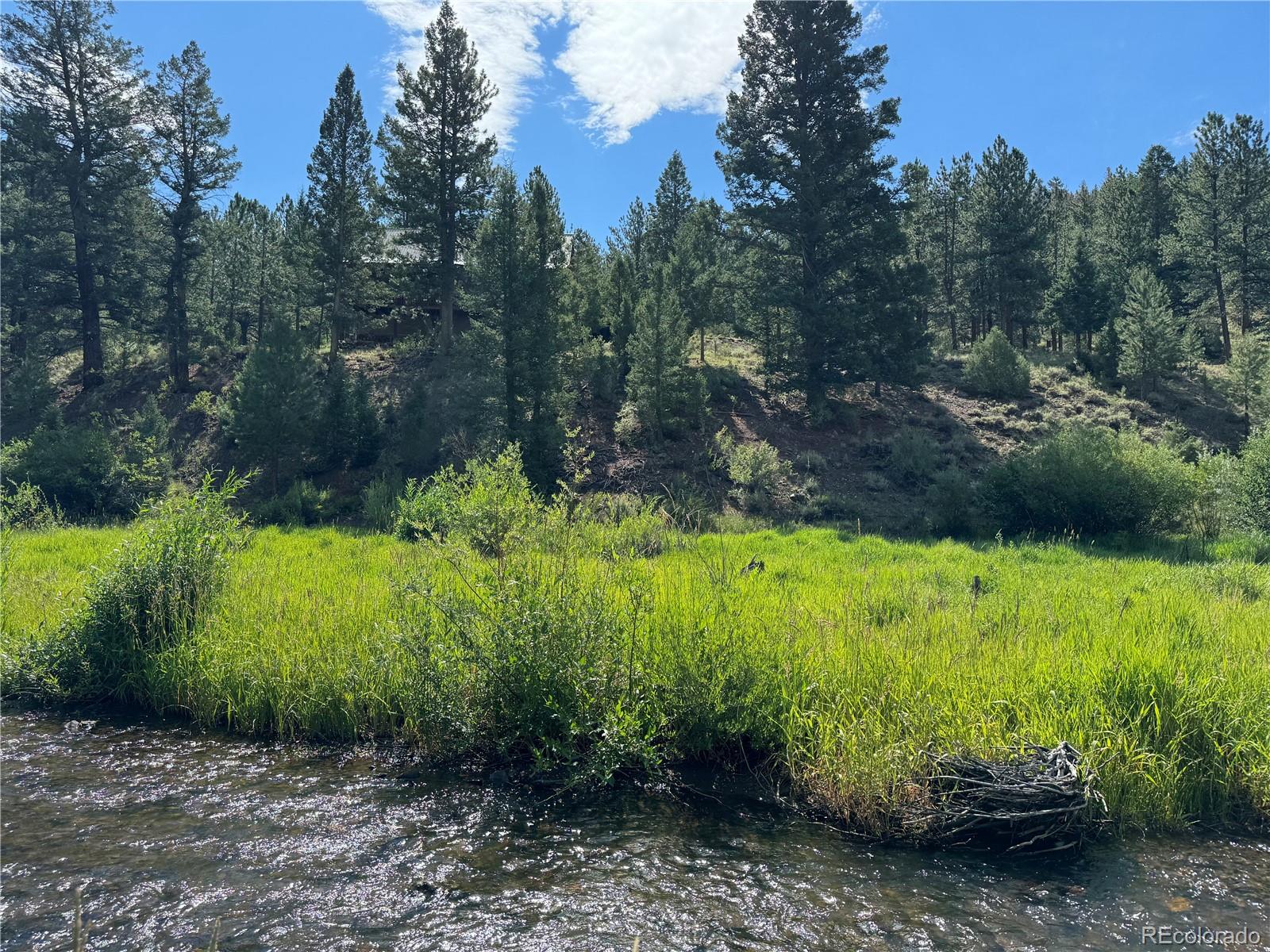 MLS Image #6 for 1001  county road 200 ,poncha springs, Colorado