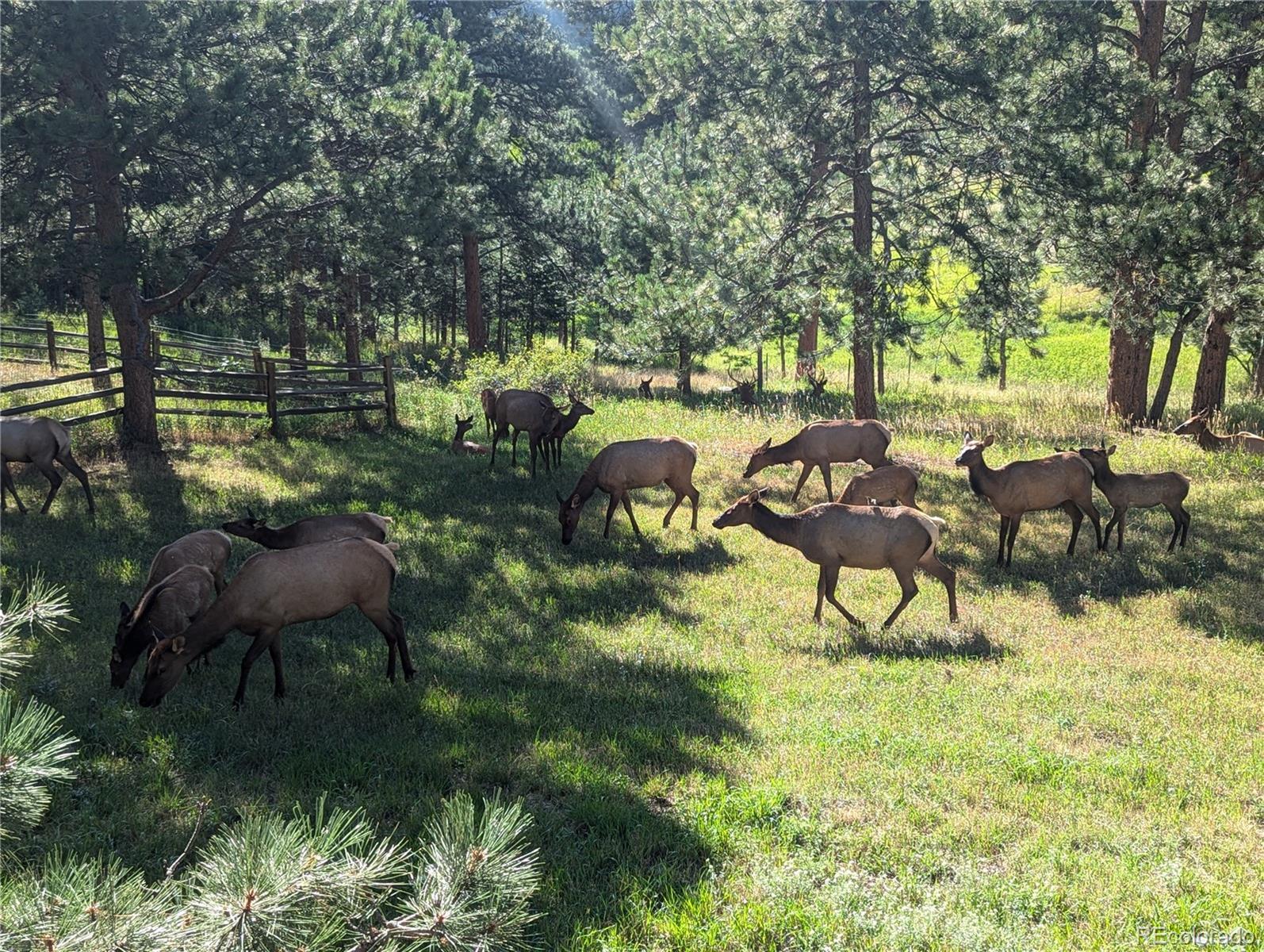 MLS Image #46 for 95  lookout mountain road,golden, Colorado