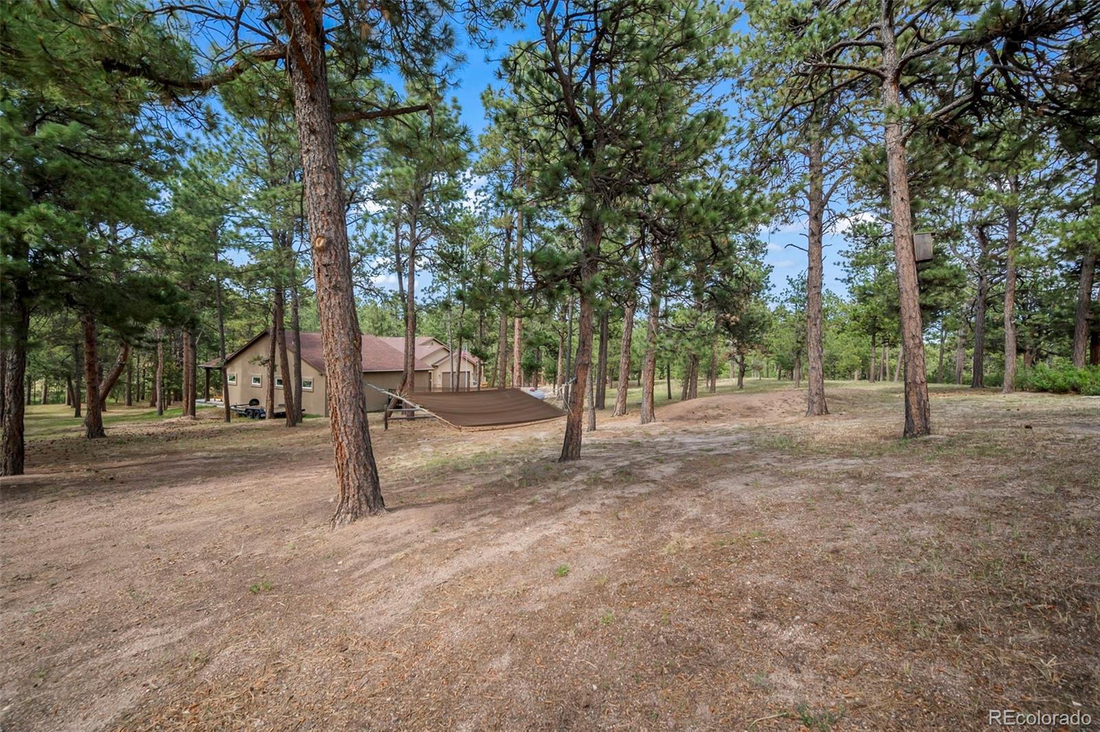 MLS Image #12 for 14560  spiritwood loop,elbert, Colorado