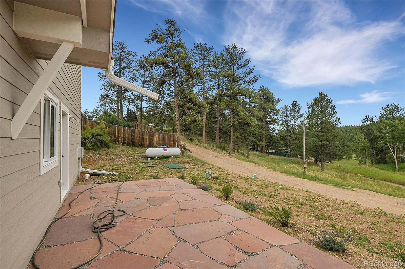 MLS Image #8 for 34593  silver springs boulevard,pine, Colorado