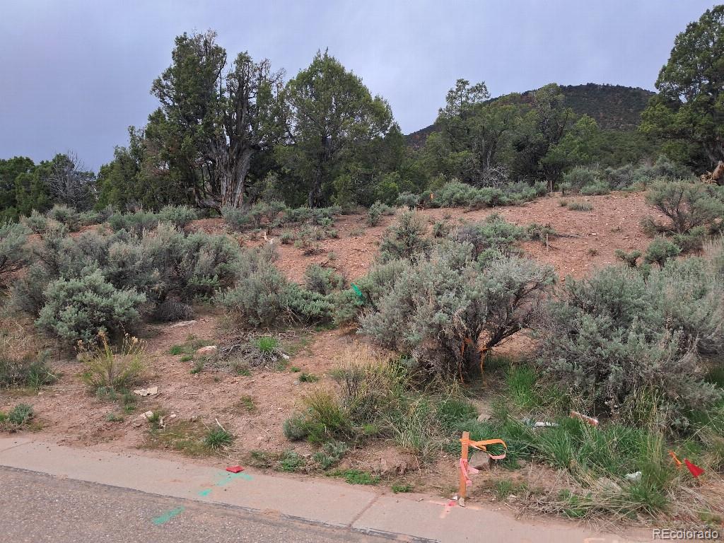 MLS Image #5 for 142  talus ,gypsum, Colorado