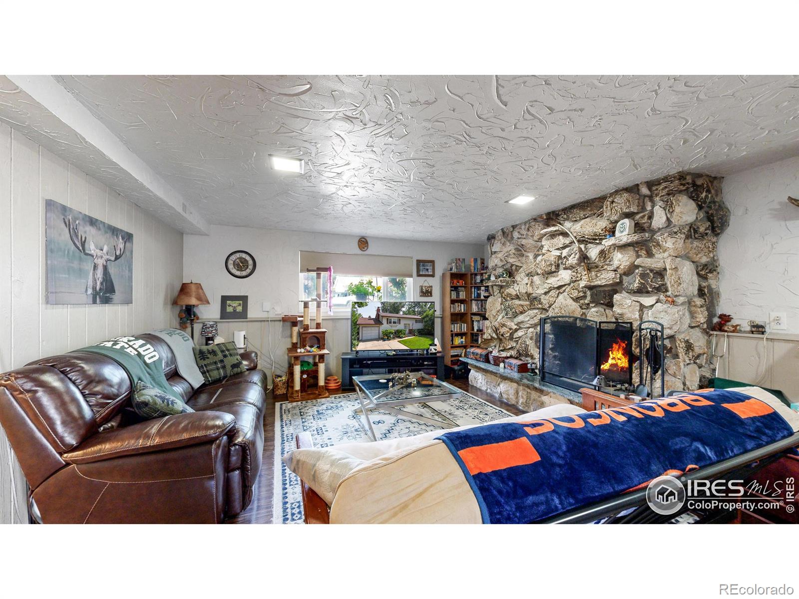 MLS Image #4 for 1705  springfield drive,fort collins, Colorado