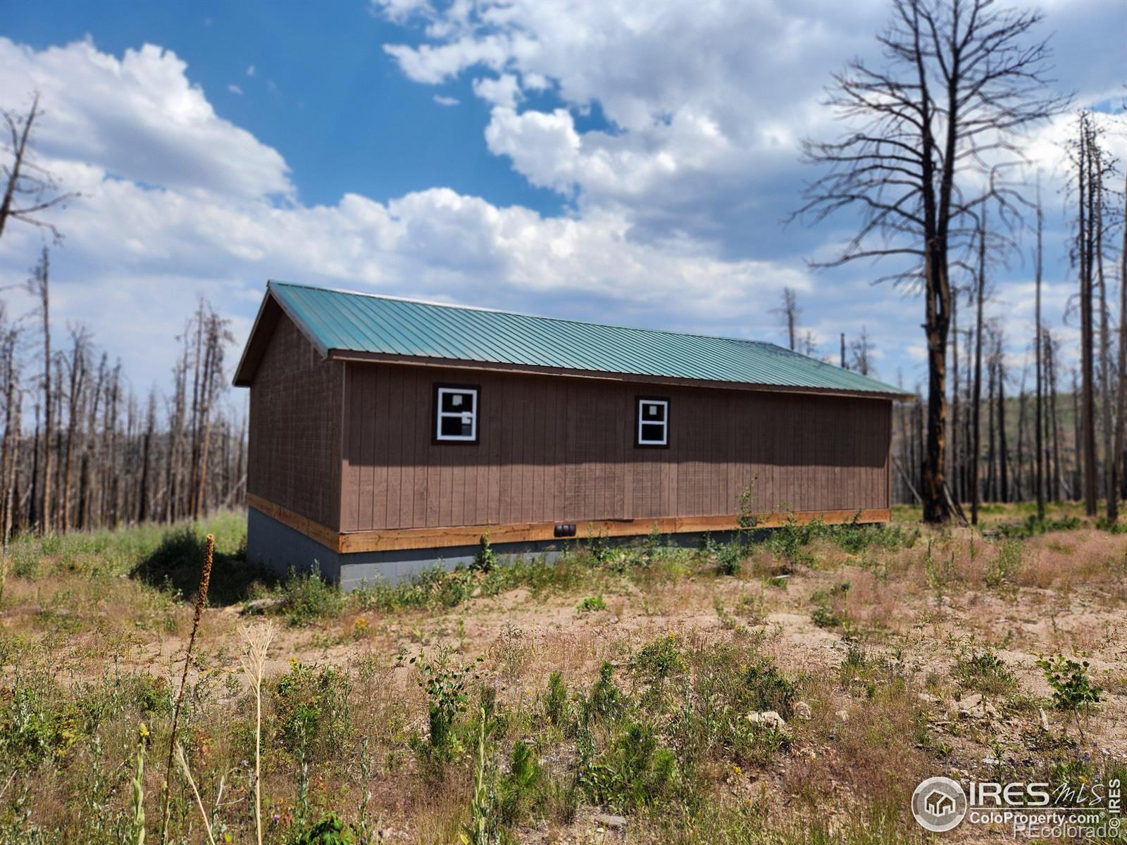 MLS Image #2 for 963  crystal mountain road,bellvue, Colorado