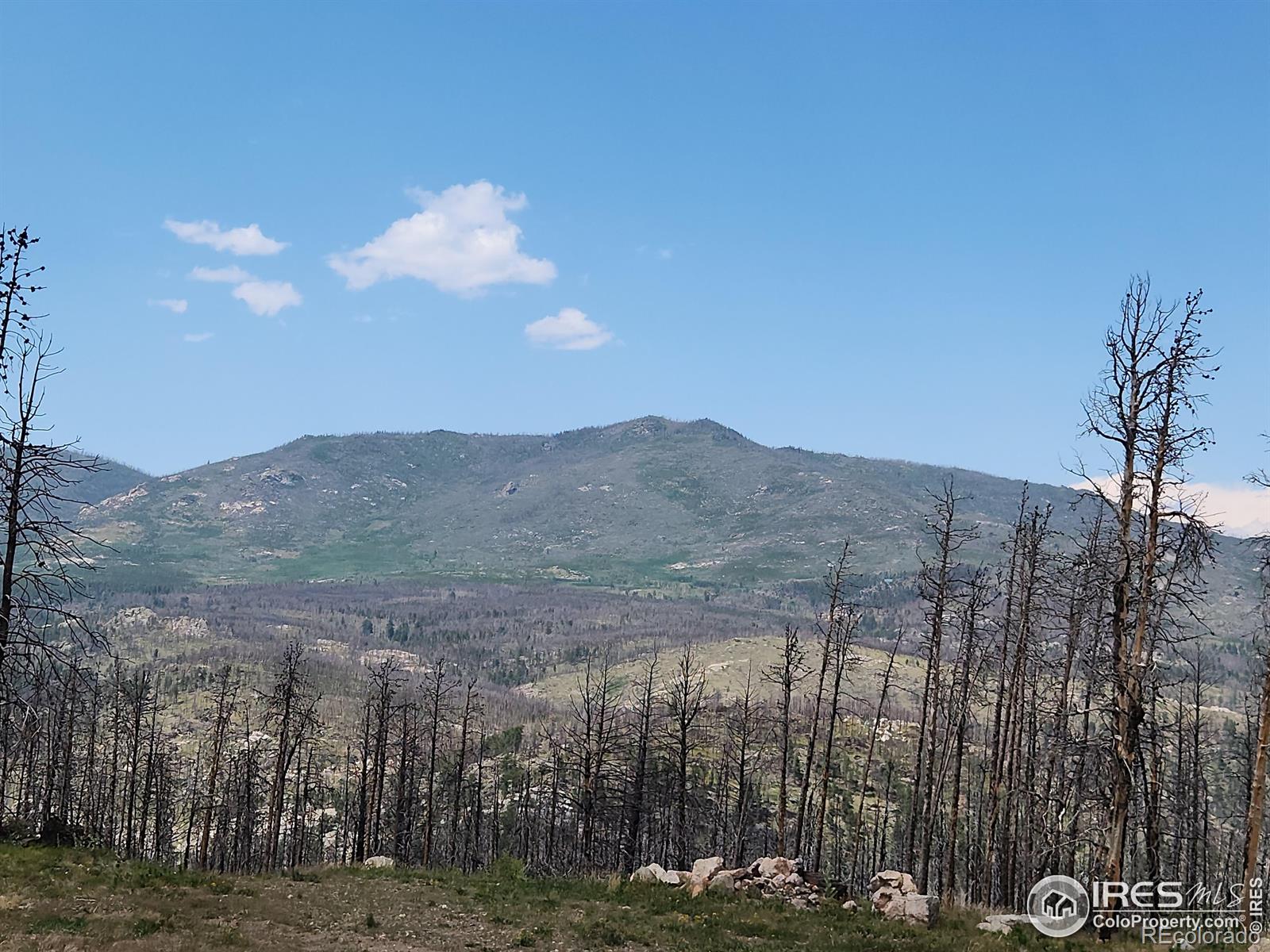 MLS Image #24 for 963  crystal mountain road,bellvue, Colorado