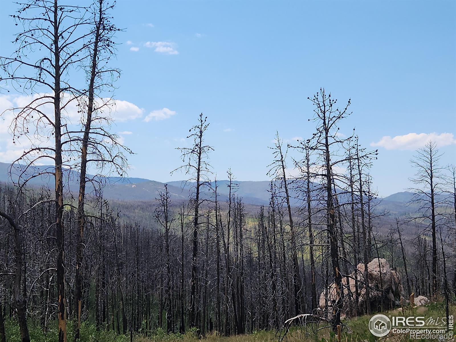 MLS Image #25 for 963  crystal mountain road,bellvue, Colorado