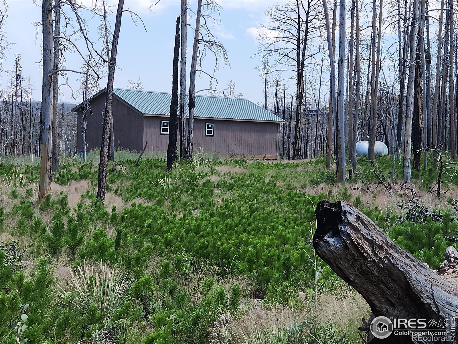 MLS Image #26 for 963  crystal mountain road,bellvue, Colorado