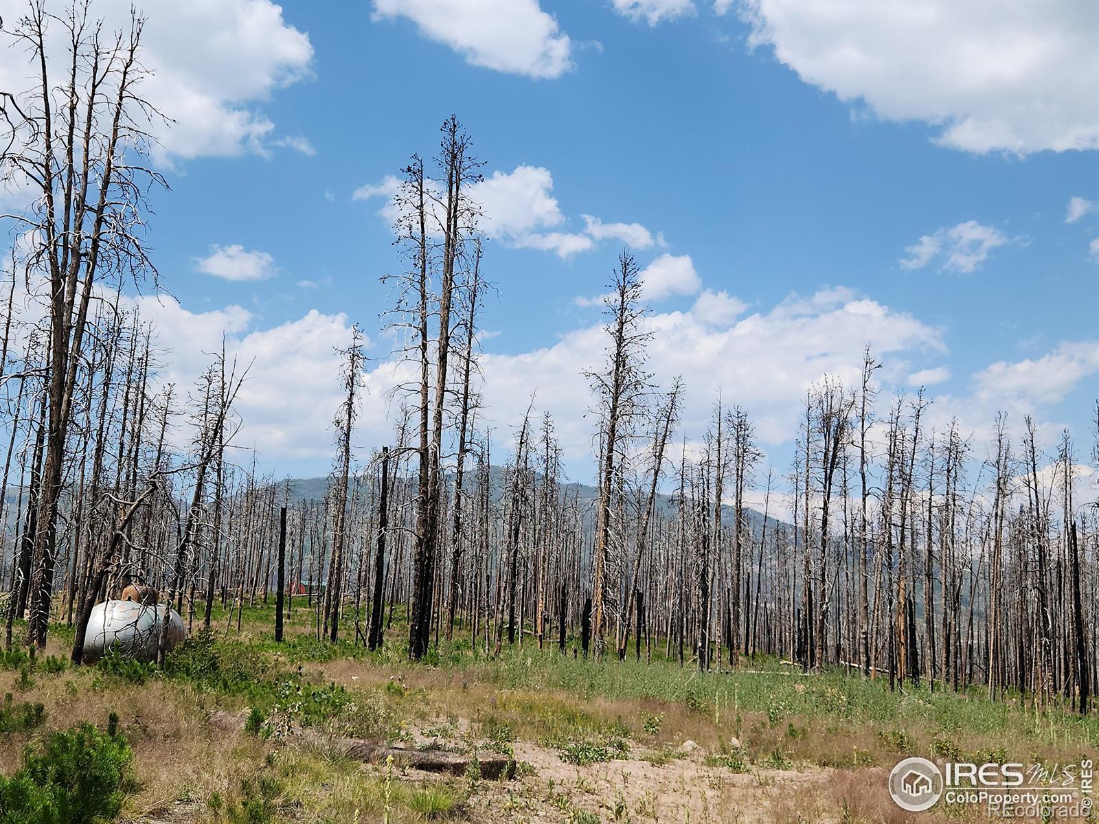 MLS Image #7 for 963  crystal mountain road,bellvue, Colorado