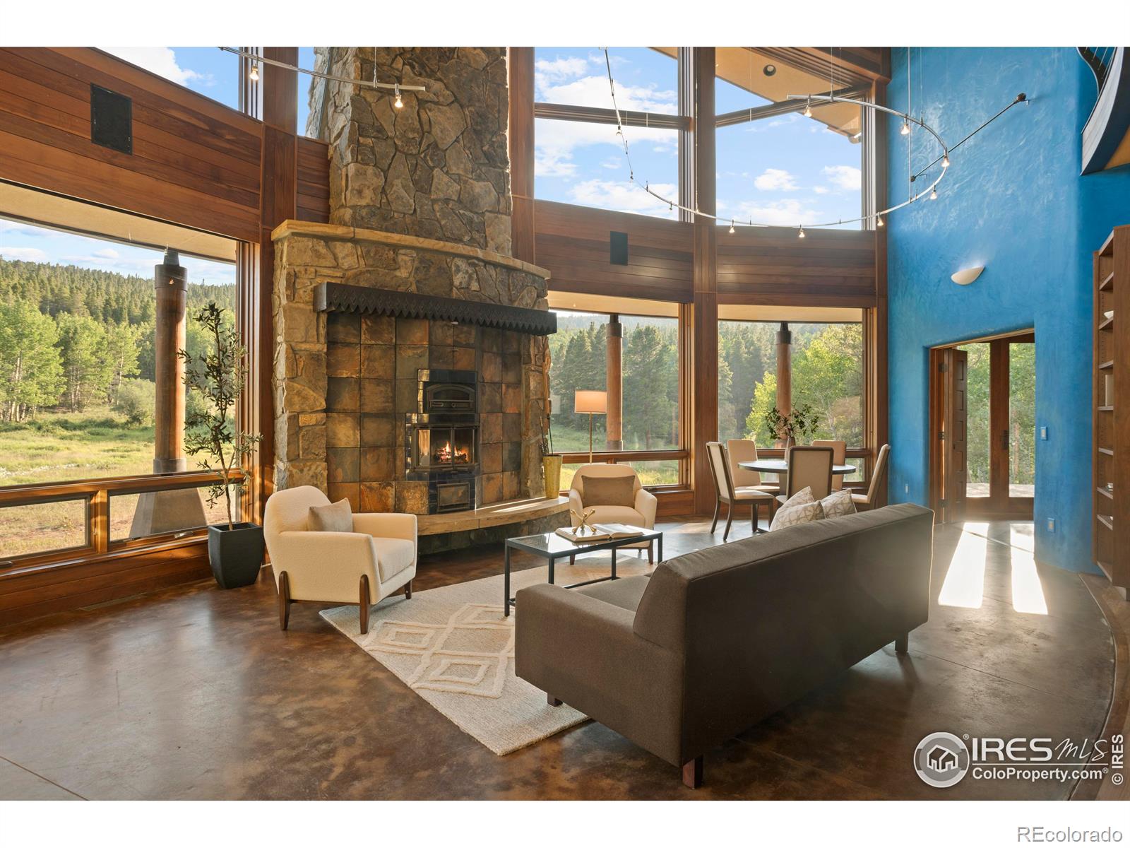 MLS Image #11 for 1460  karlann drive,black hawk, Colorado