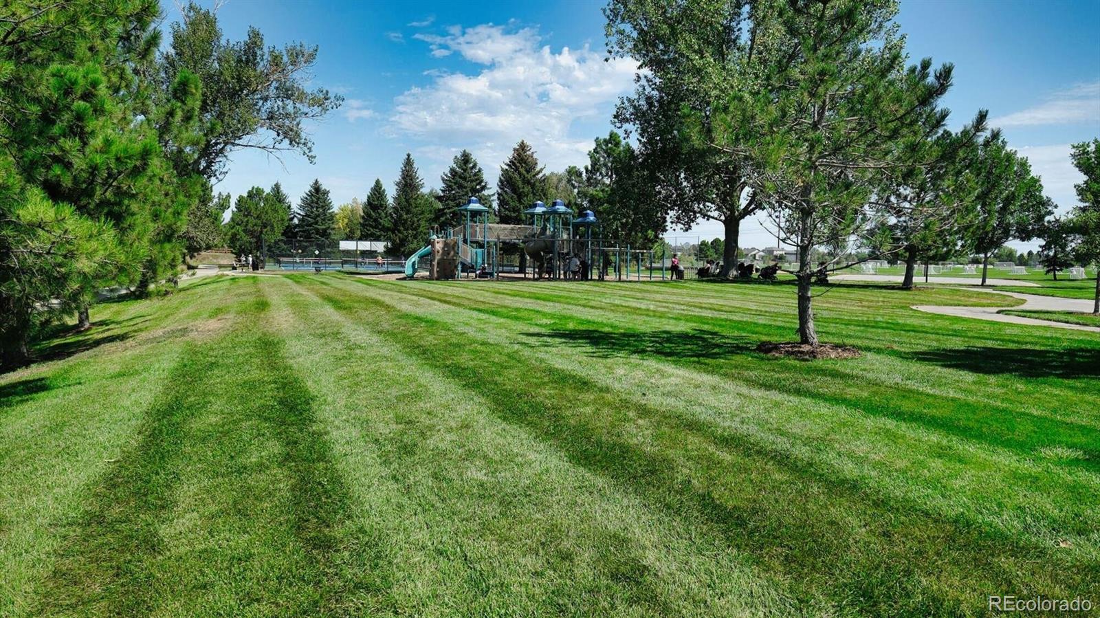 MLS Image #27 for 618 s carlton street,castle rock, Colorado