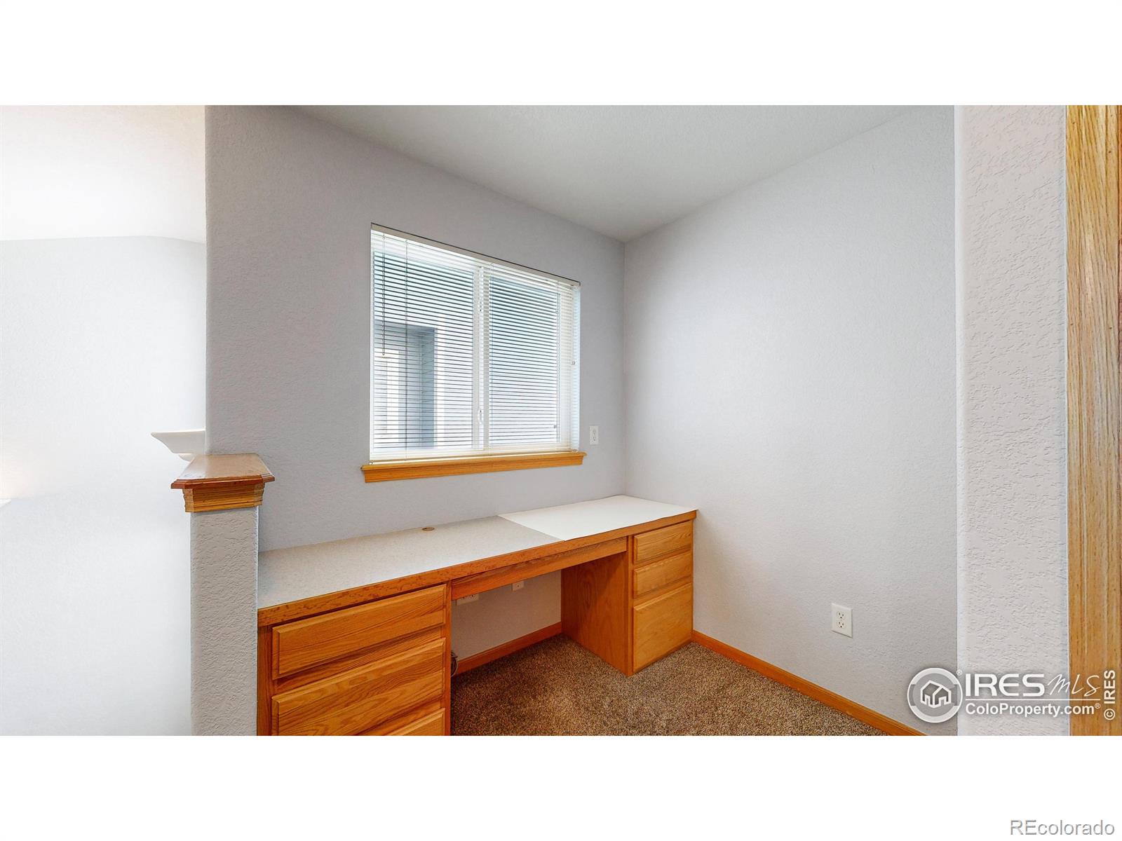 MLS Image #12 for 4590  teller place,loveland, Colorado