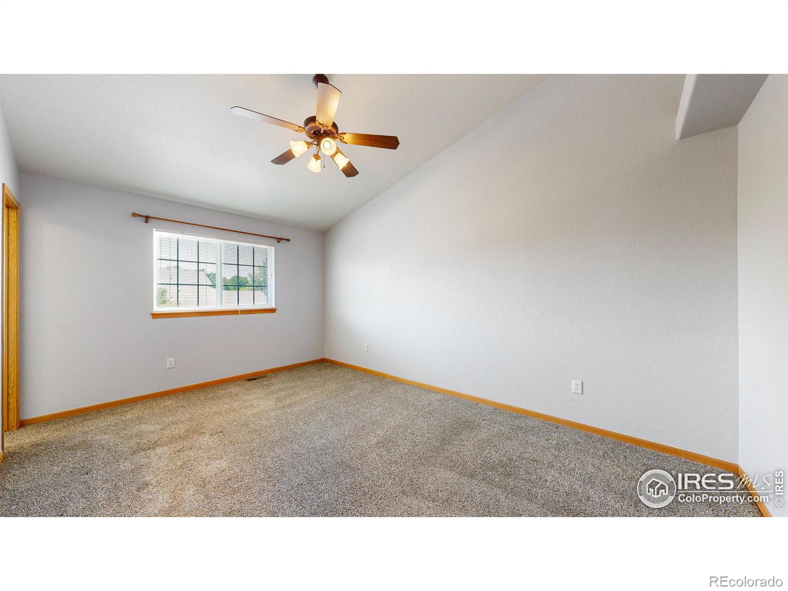 MLS Image #14 for 4590  teller place,loveland, Colorado