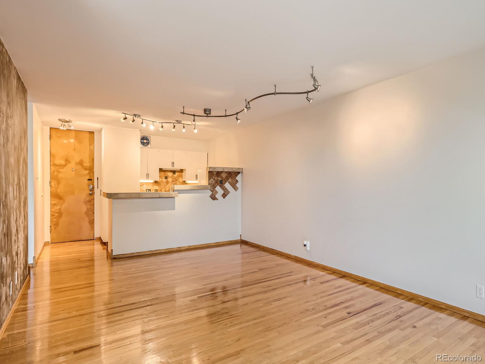 MLS Image #4 for 1050 n corona street 207,denver, Colorado