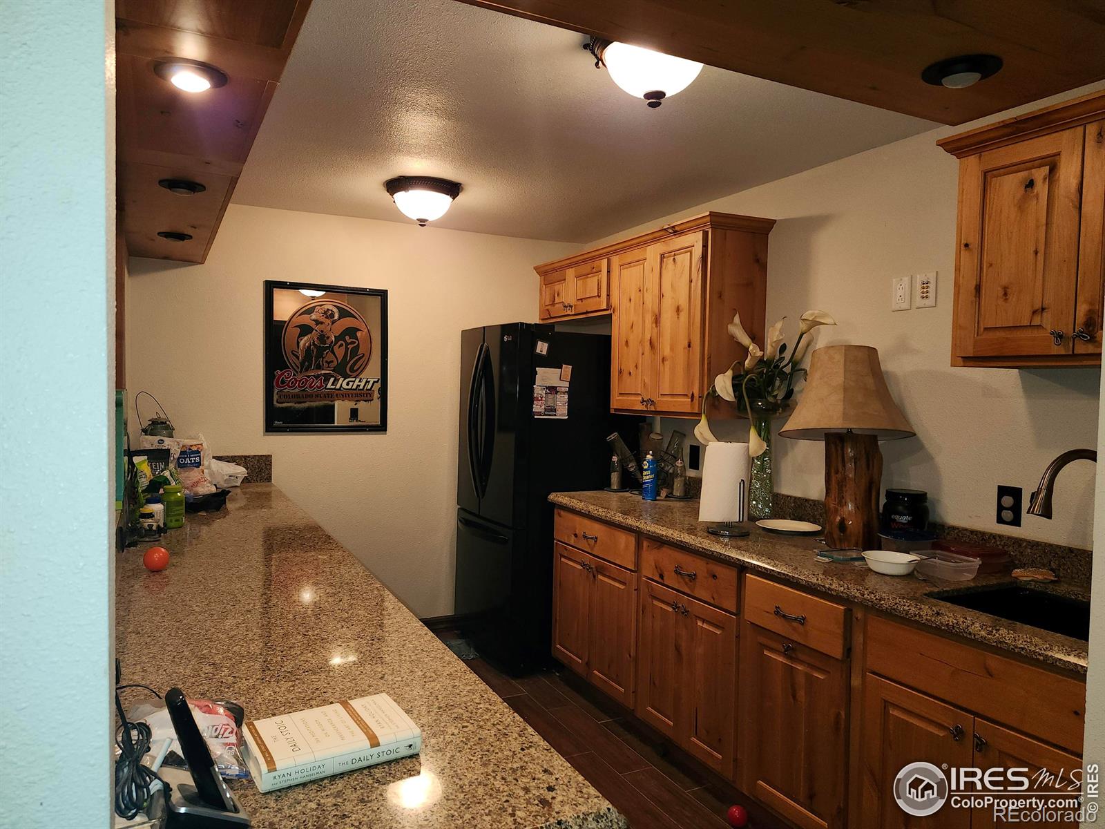 MLS Image #14 for 3261  county road 43 road,burlington, Colorado