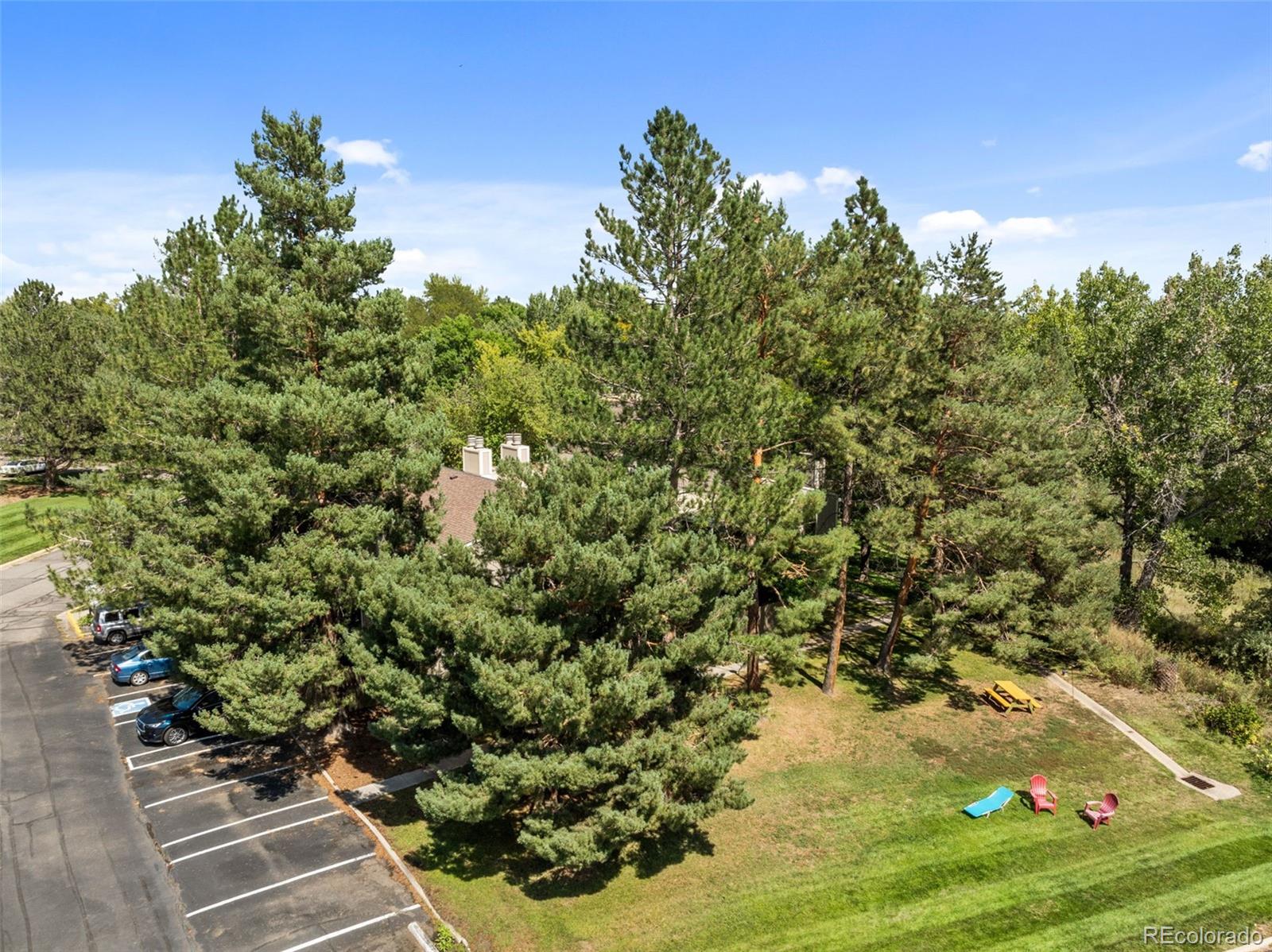 MLS Image #22 for 8060  niwot road,niwot, Colorado