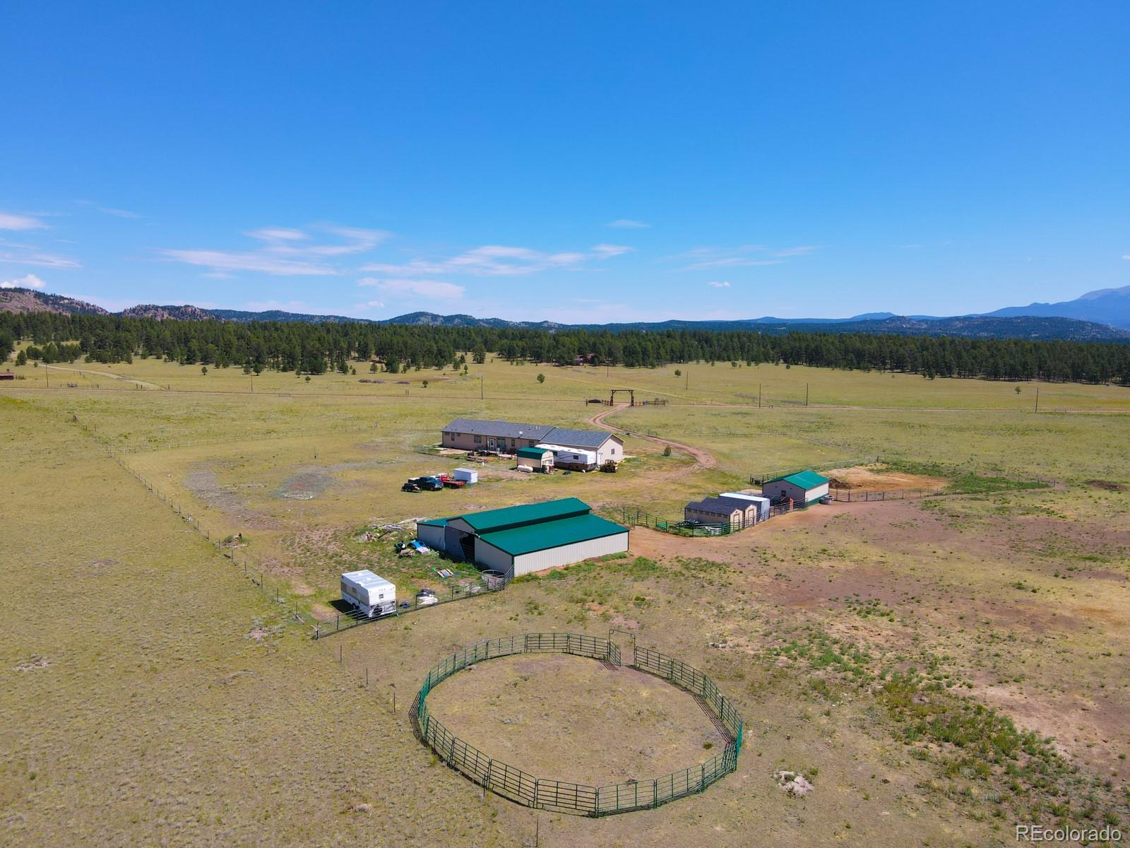 MLS Image #2 for 1925  doe valley road,guffey, Colorado