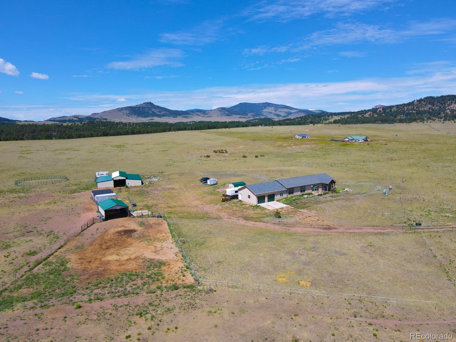 MLS Image #3 for 1925  doe valley road,guffey, Colorado