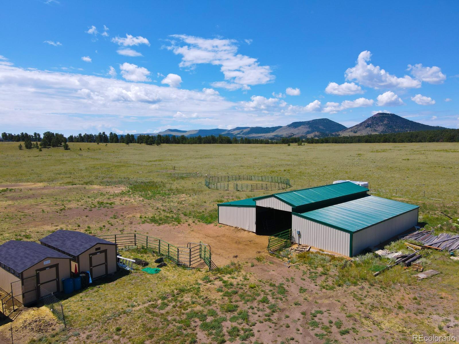 MLS Image #7 for 1925  doe valley road,guffey, Colorado