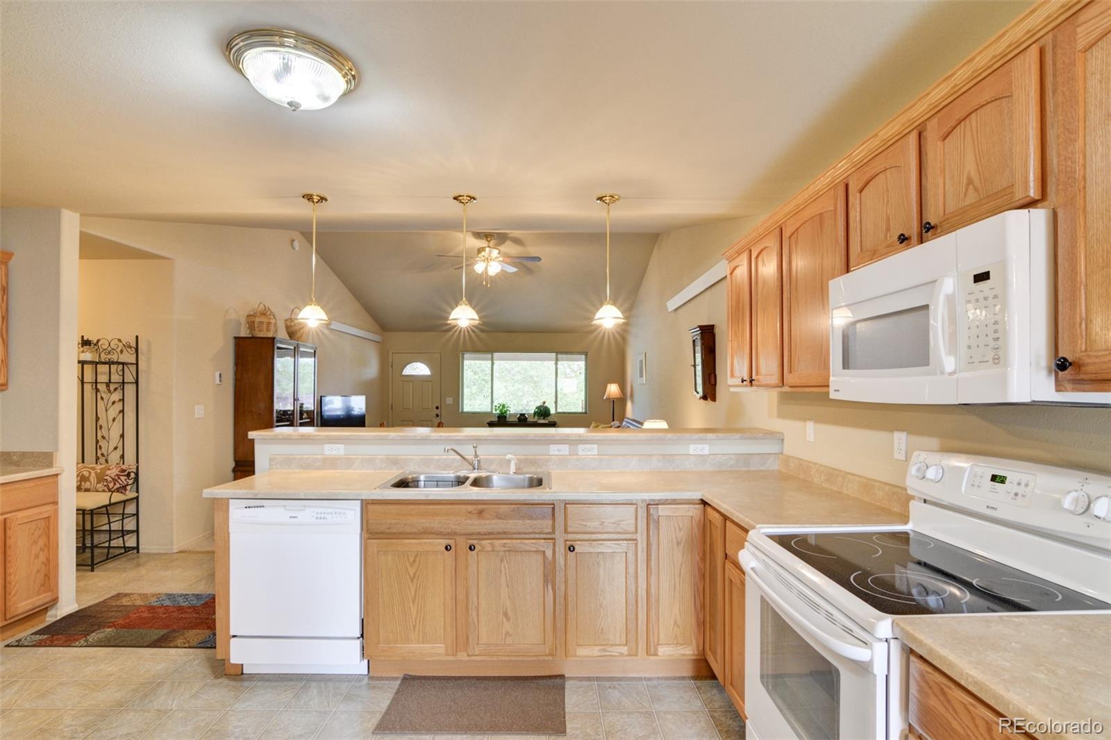 MLS Image #10 for 170  larissa lane,buena vista, Colorado