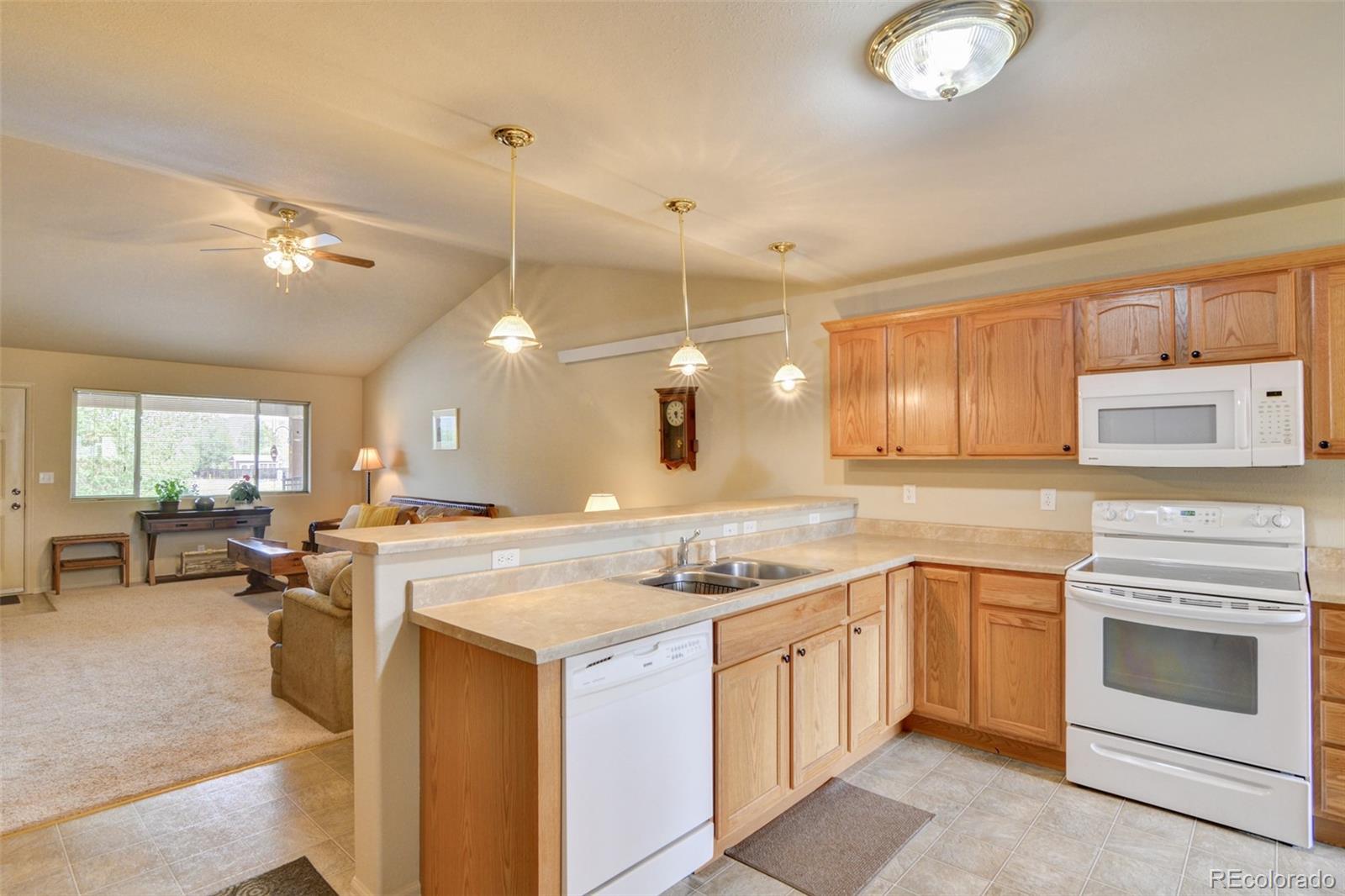 MLS Image #9 for 170  larissa lane,buena vista, Colorado