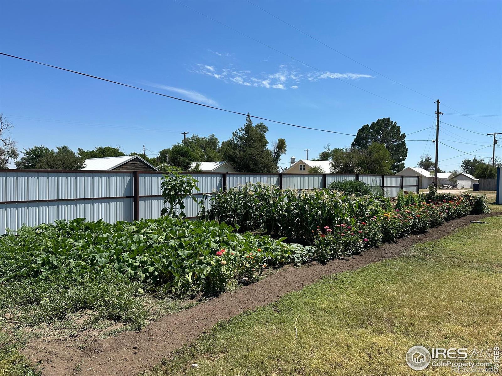 MLS Image #6 for 110 w 3rd avenue,otis, Colorado