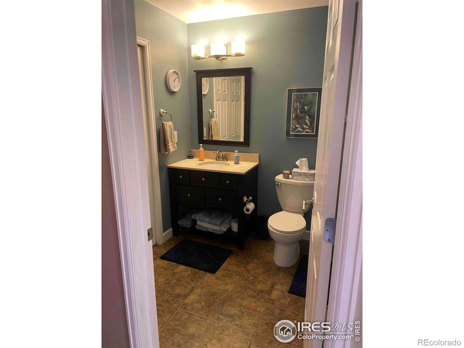 MLS Image #11 for 1316  graham circle,erie, Colorado