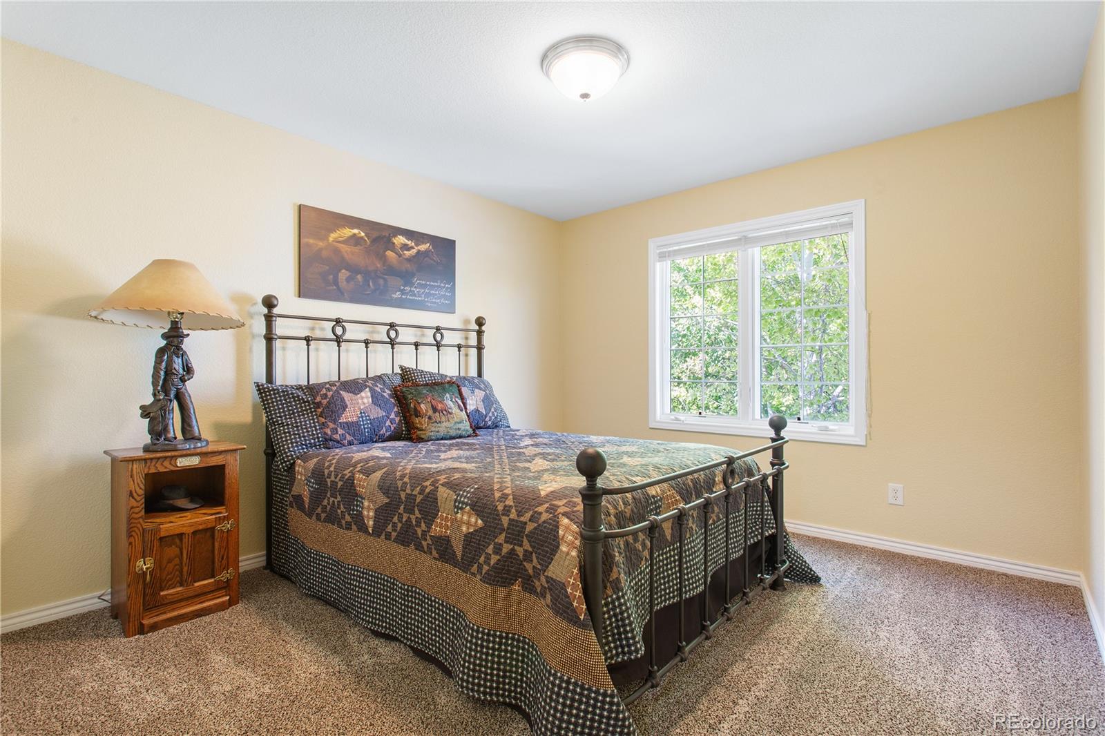 MLS Image #27 for 1591  landon court,windsor, Colorado