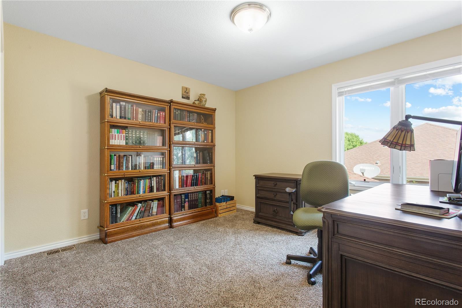 MLS Image #28 for 1591  landon court,windsor, Colorado