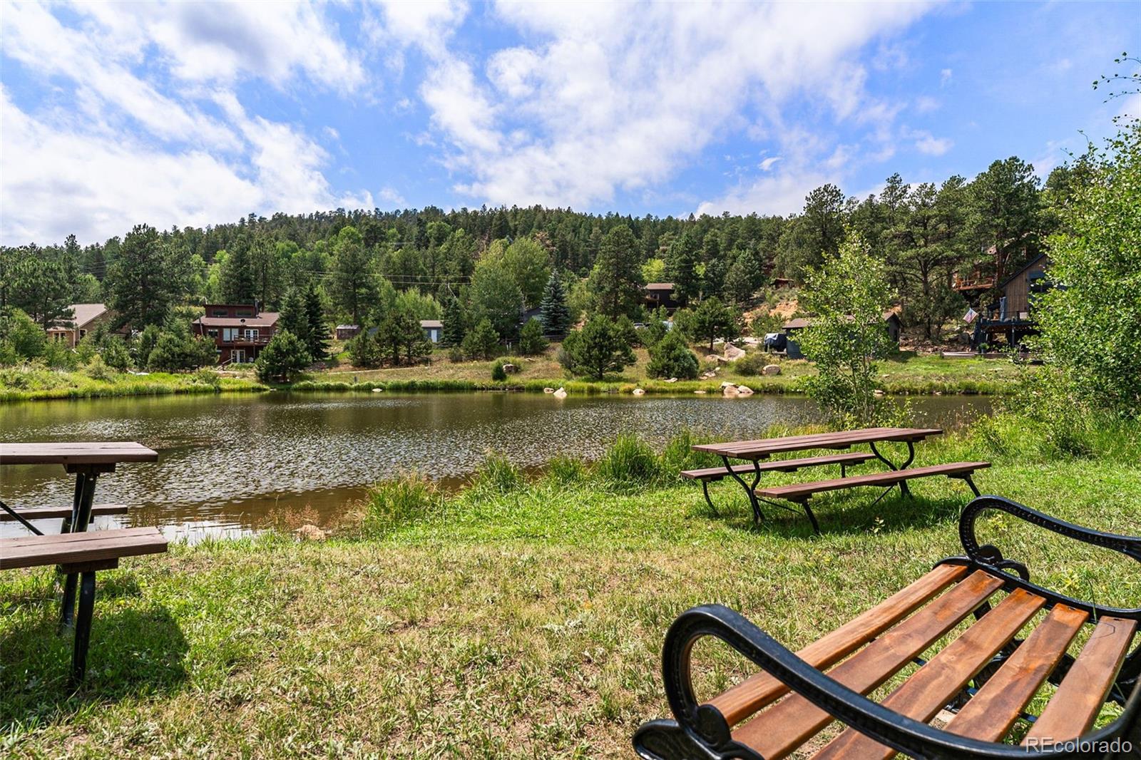 MLS Image #44 for 625  wisp creek drive,bailey, Colorado