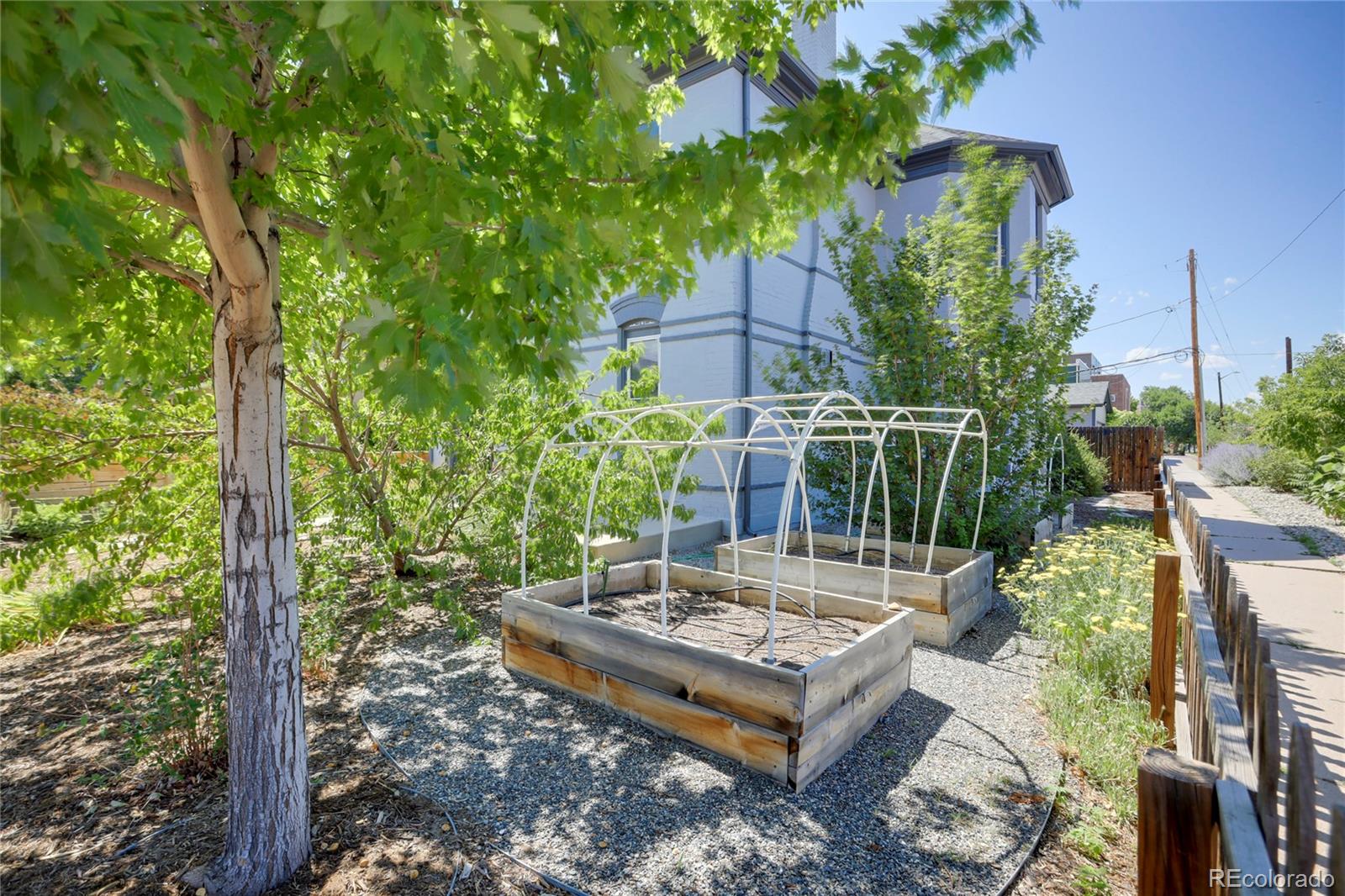 MLS Image #5 for 3263  curtis street,denver, Colorado