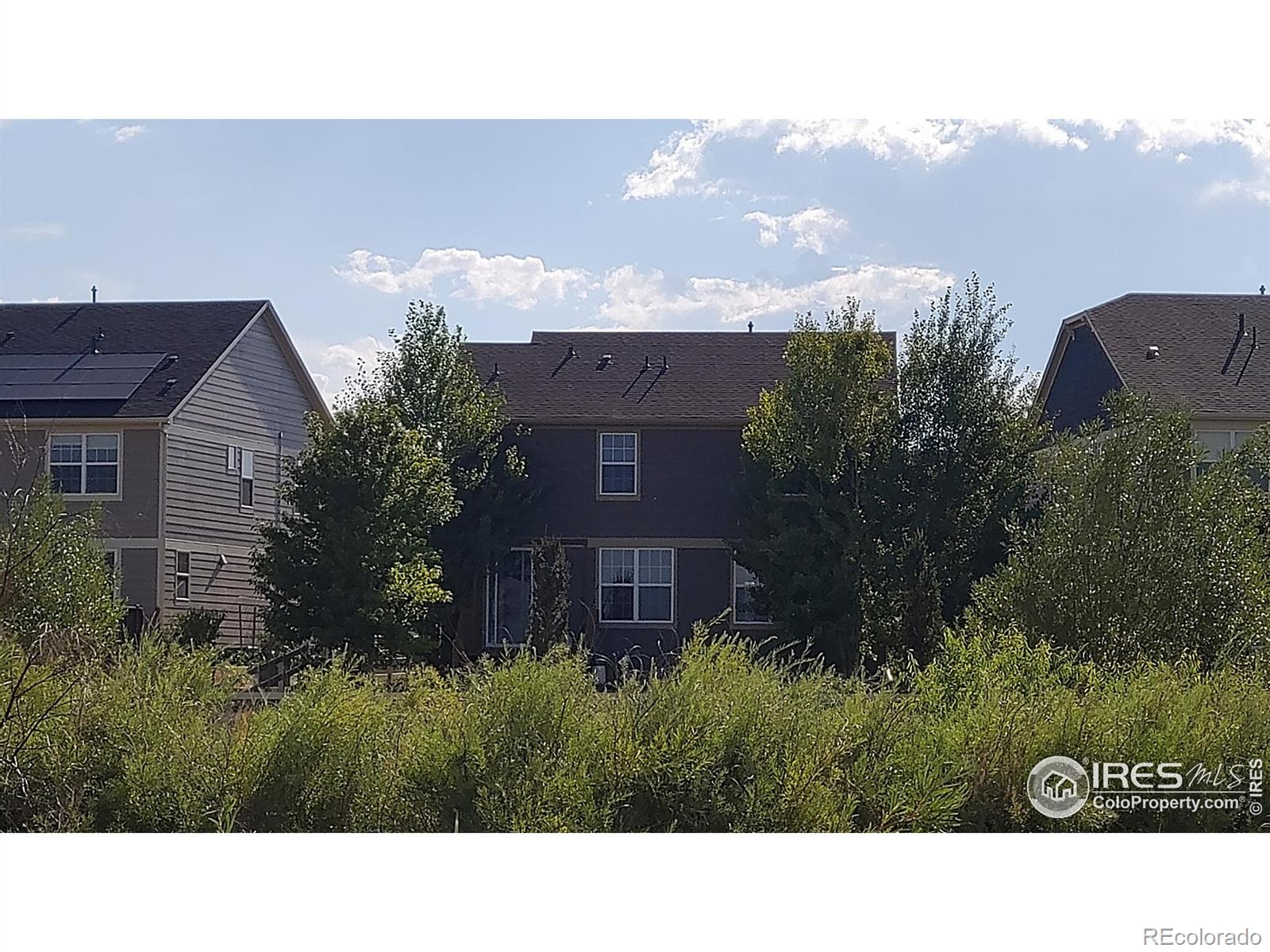 MLS Image #6 for 3132  anika drive,fort collins, Colorado