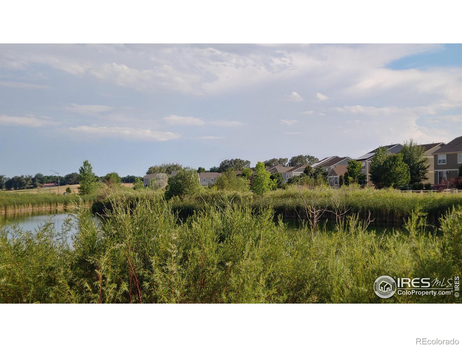 MLS Image #7 for 3132  anika drive,fort collins, Colorado