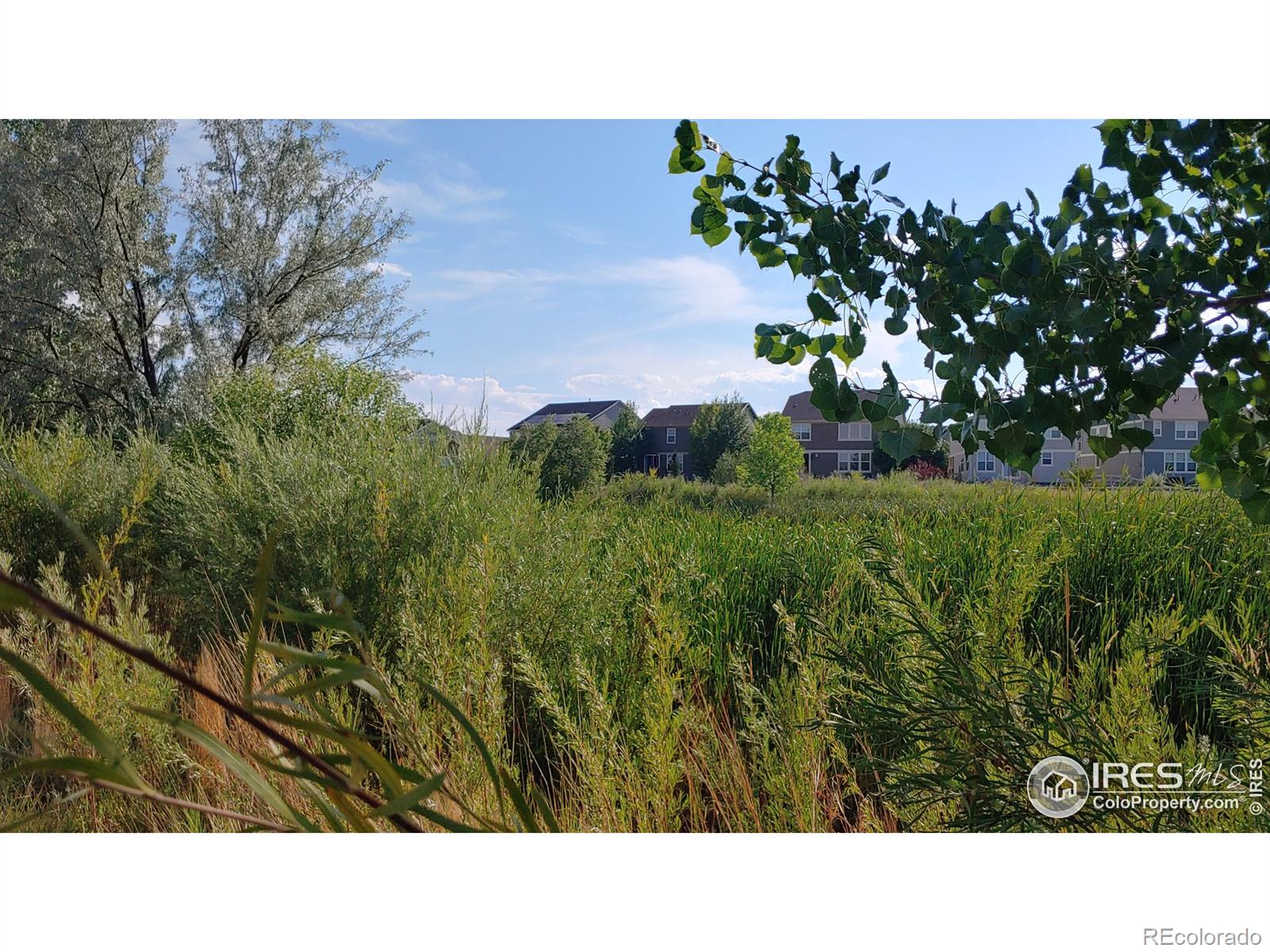 MLS Image #8 for 3132  anika drive,fort collins, Colorado