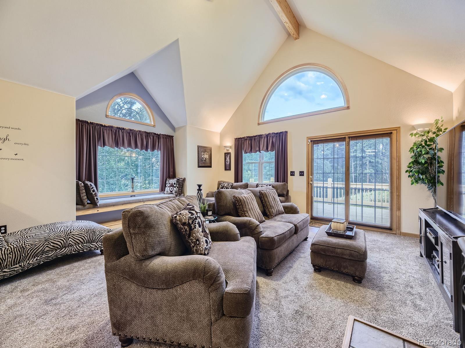 MLS Image #4 for 646  sleepy hollow drive,bailey, Colorado