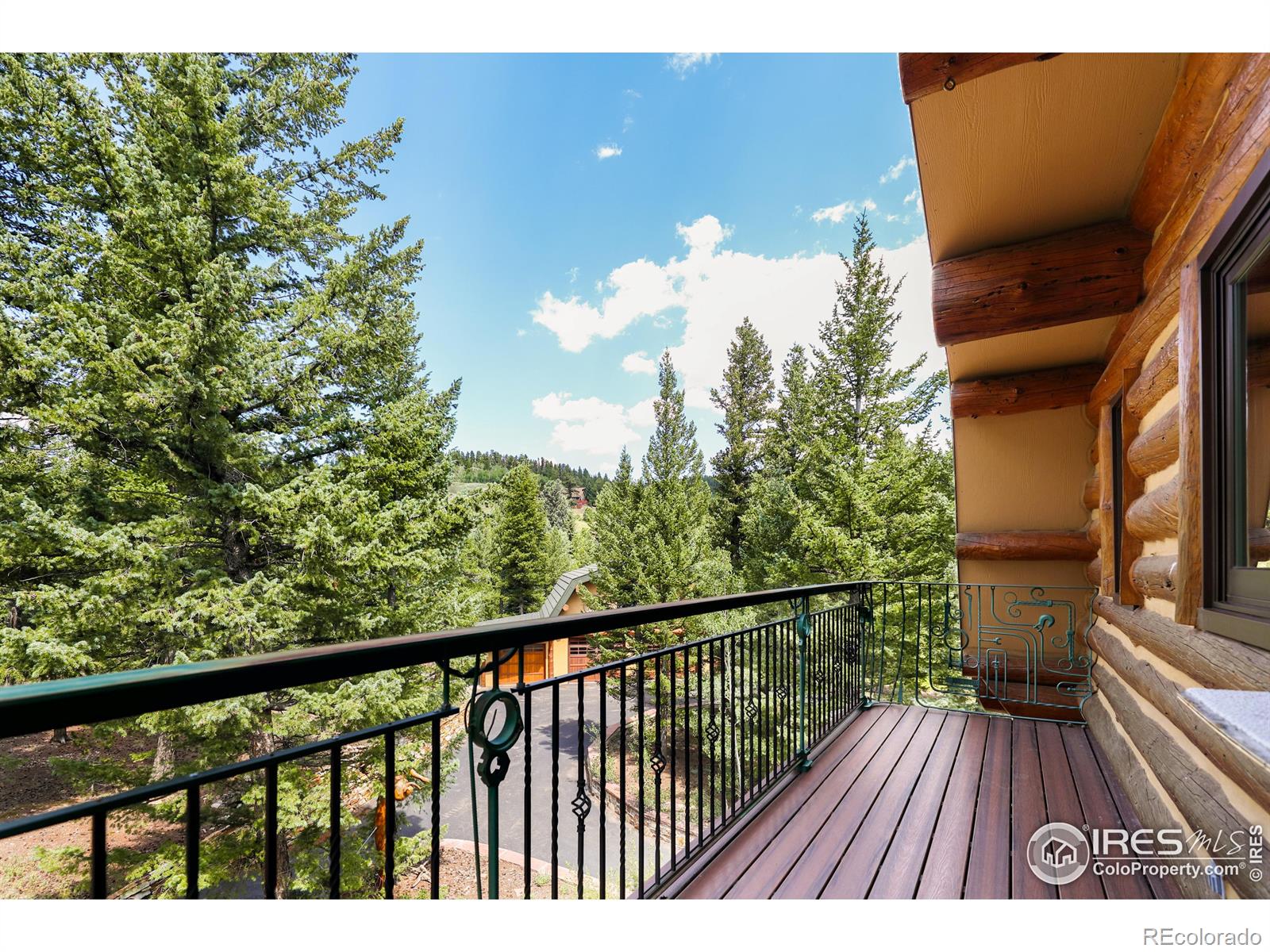 MLS Image #19 for 625 n beaver road,nederland, Colorado