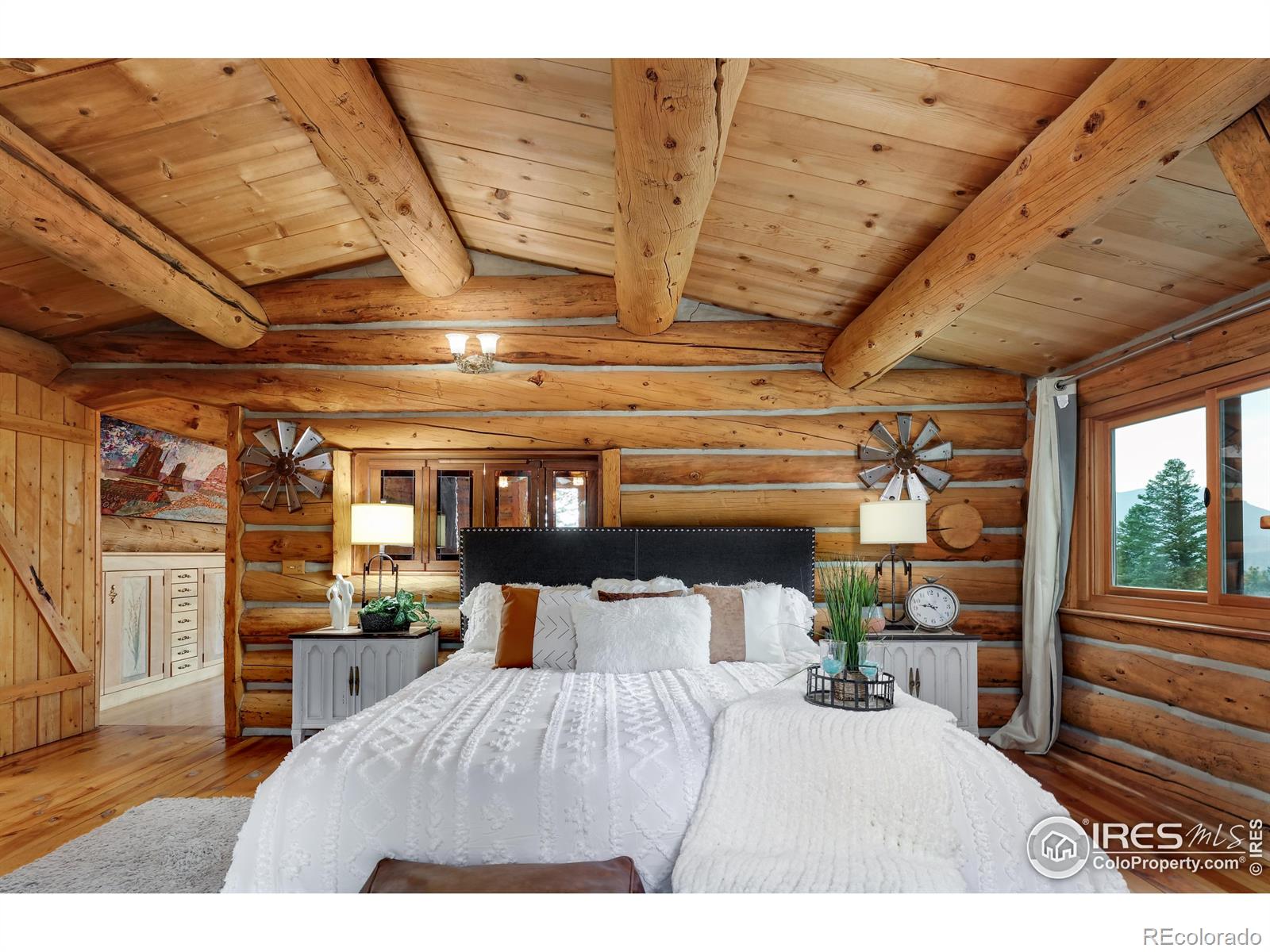 MLS Image #20 for 625 n beaver road,nederland, Colorado