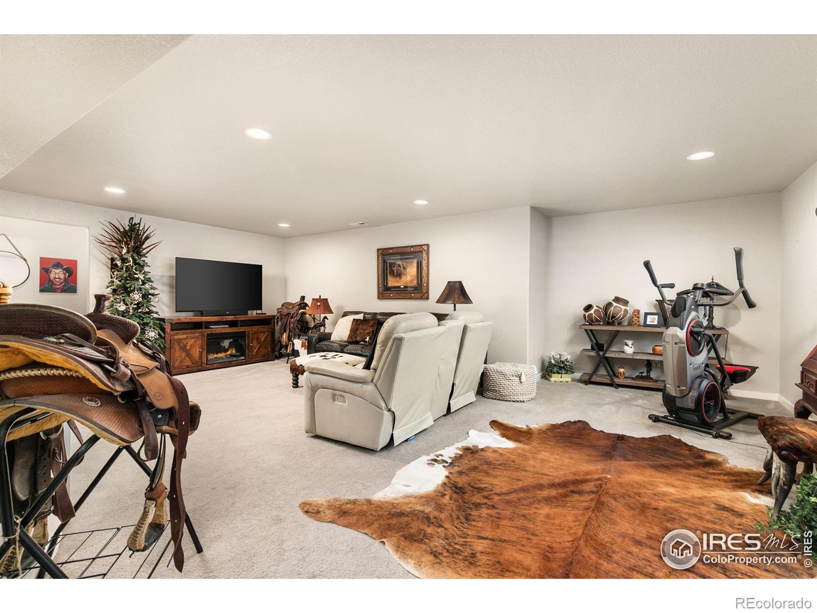 MLS Image #19 for 1565  monterey valley parkway,severance, Colorado