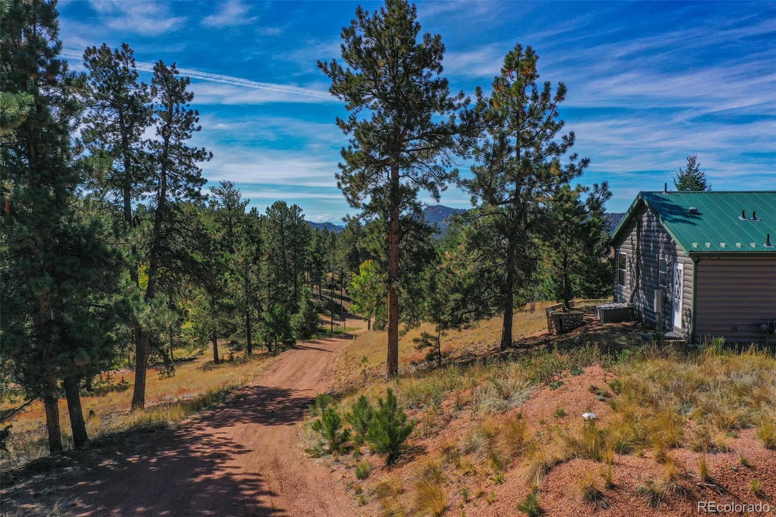 MLS Image #46 for 141  navajo circle,florissant, Colorado