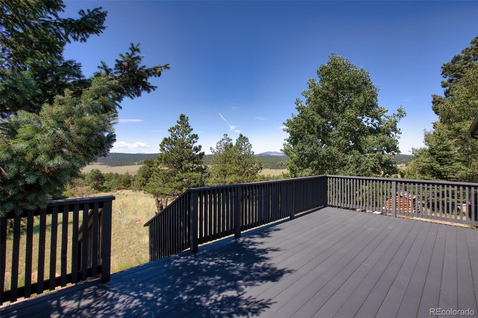 MLS Image #6 for 141  navajo circle,florissant, Colorado