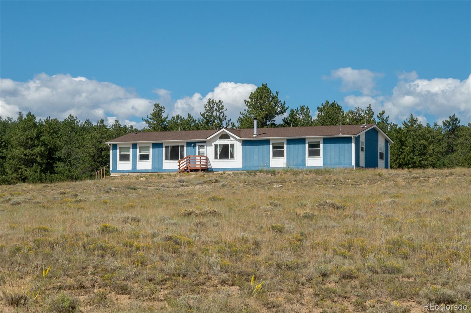 MLS Image #0 for 2467  ranch road,hartsel, Colorado