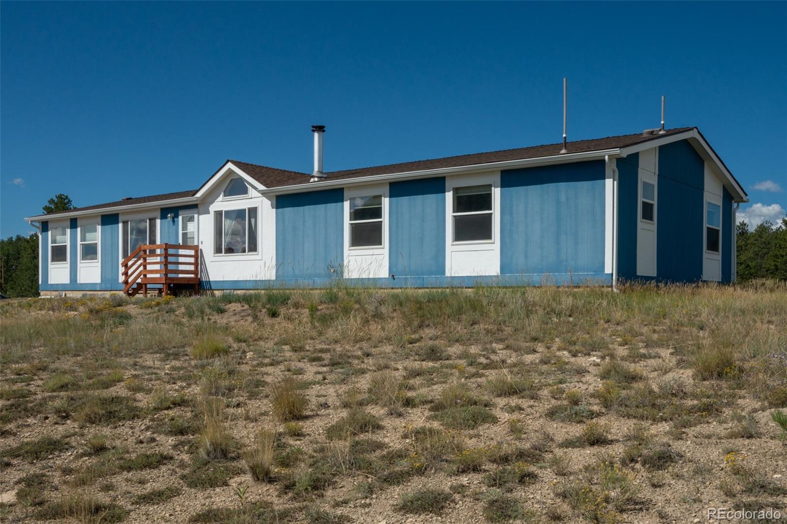 MLS Image #4 for 2467  ranch road,hartsel, Colorado