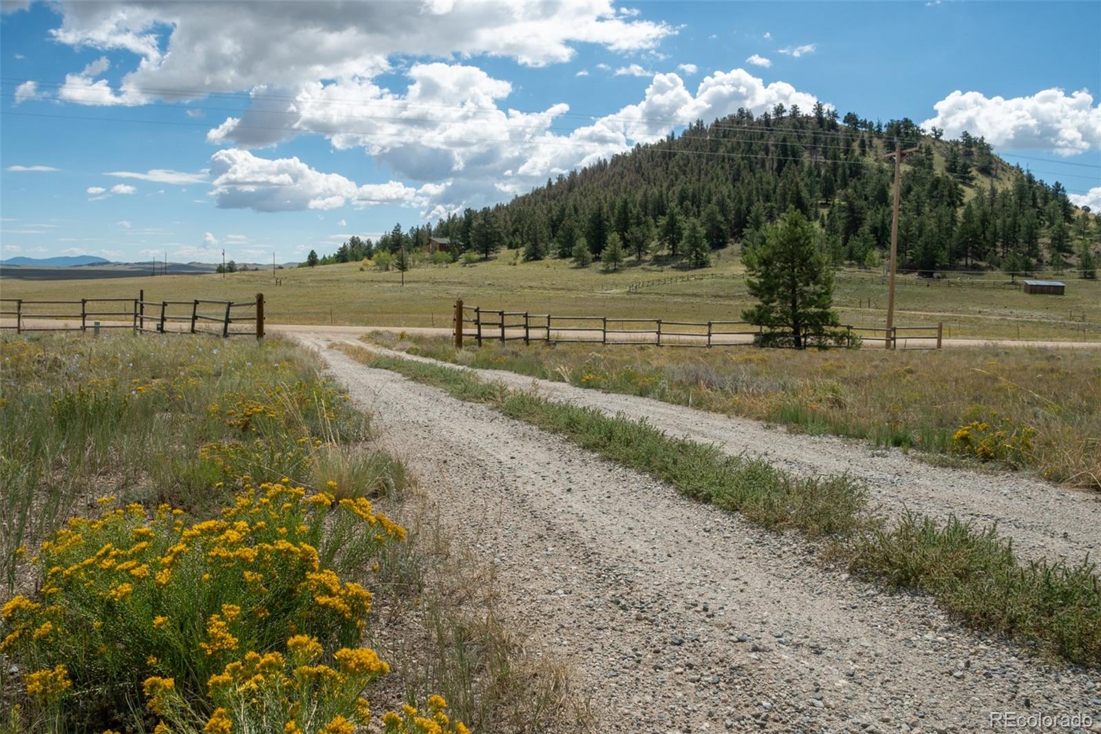 MLS Image #48 for 2467  ranch road,hartsel, Colorado