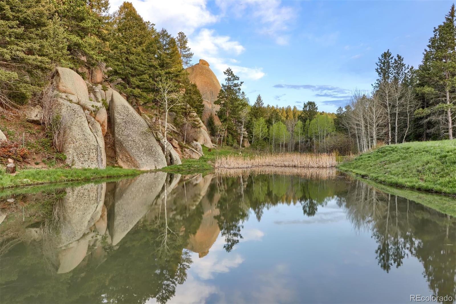 MLS Image #39 for 60 n county highway 67 ,sedalia, Colorado