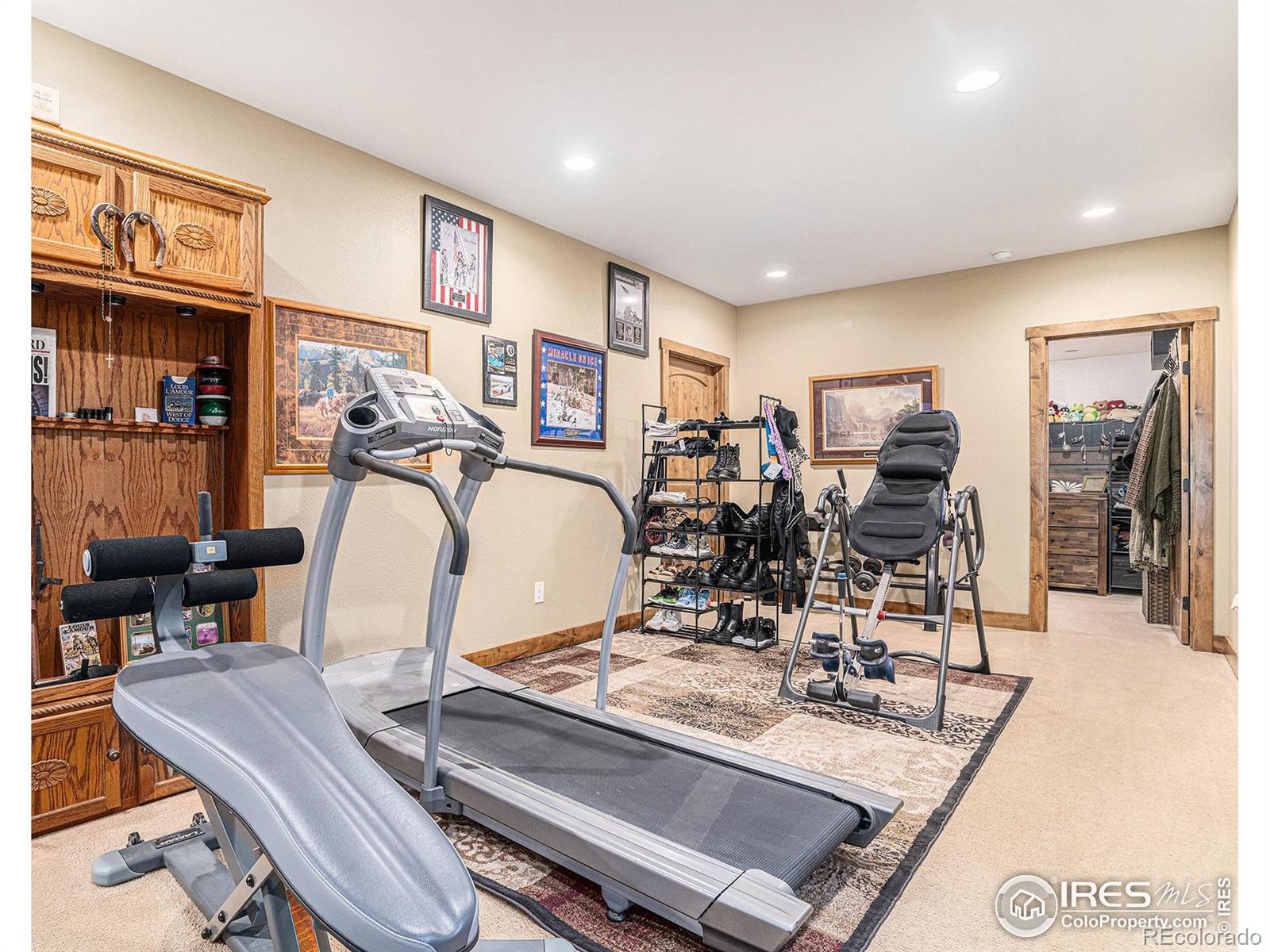 MLS Image #24 for 4956  blackhawk drive,windsor, Colorado