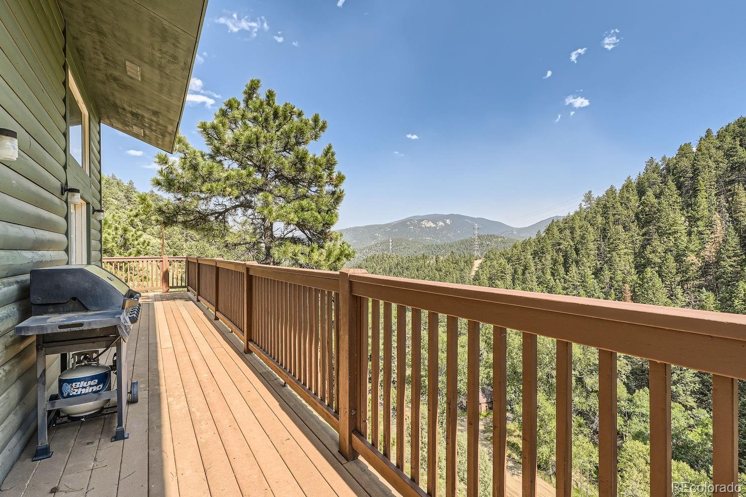 MLS Image #39 for 1021 s spring gulch road,idaho springs, Colorado